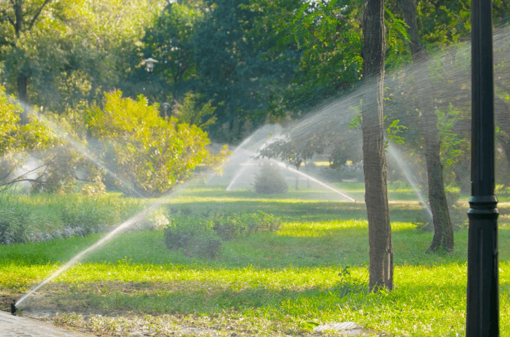 AC Landscaping