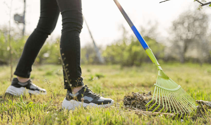 Yard Cleanup